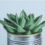 Product Title 2